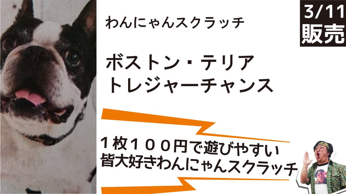 わん茶ちゃん ポスト わん茶ちゃん ポスト わん茶ちゃん ポスト わん茶